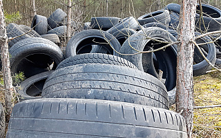 Ministerstwo Środowiska zaostrza kary za śmiecenie w lesie